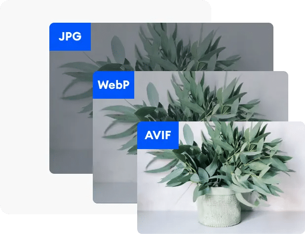 Image Formats